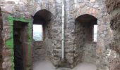 Tour Zu Fuß Weinheim - Rundwanderweg Weinheim Wachenburg 3: Taubenberg-Weg - Photo 2