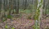 Tocht Stappen Doische - adeps à Doissche 26/3/23 - Photo 2