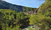 Percorso Bicicletta elettrica Lachau - Les Gorges de la Méouge - Photo 2