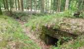 Tocht Stappen Grandfontaine - Positions fortifiées du Donon sentier des casemates - sud - Photo 3