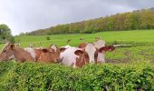 Tocht Stappen Esneux - entre Mery et bois Manant - Photo 10