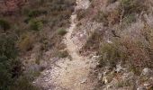 Trail Walking Mons - Celas Bos Nègre  - Photo 2