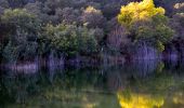 Randonnée Marche Bormes-les-Mimosas - Barrage du Trapan - Pellegrin - Photo 11