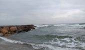 Trail Walking Canet-en-Roussillon - st cyprien, entre mer et étang  - Photo 15