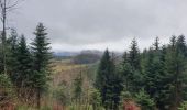 Tour Wandern Saint-Étienne-lès-Remiremont - Le sentier des Pourdingues - Photo 14