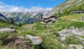 Tour Wandern Pralognan-la-Vanoise - Pralognan, Lac des Vaches par le téléphérique  - Photo 12