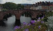 Randonnée Marche Le Cayrol - Compostelle / chemin du Puy : de Bonneval à Estaing - Photo 4