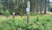 Trail Walking Trois-Ponts - logbierme 060824 - Photo 2