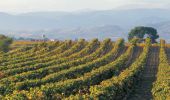 Tocht Stappen Lézignan-Corbières - Lézignan Corbières - Argens Minervois - Olonzac - Photo 1