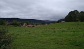 Tour Wandern Montperreux -                                     La Gouille - Photo 3