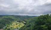 Randonnée Marche Vresse-sur-Semois - rando laforêt 24-05-2022 - Photo 15