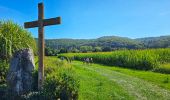 Trail Walking Anhée - Marche Adeps à Anhée - Photo 1