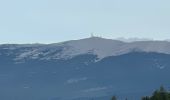 Tour Wandern Monieux - Gorges de la Nesque - Photo 15