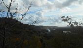Tour Wandern Pont-Saint-Pierre - 20231024-Pont-St-Pierre - Photo 9