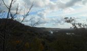 Trail Walking Pont-Saint-Pierre - 20231024-Pont-St-Pierre - Photo 9