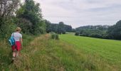 Trail On foot Bouillon - Lannoo GrWandArd 79 Bellevaux de watermolenwandeling (PVDB) - Photo 1