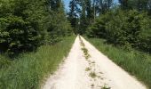 Trail Walking Sentheim - Ils sont de retour... - Photo 8