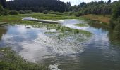 Tour Wandern Bütgenbach - Butchenbach - Bullingen - Photo 3