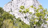 Randonnée Marche Val-Buëch-Méouge - Rocher de pierre Impie, roc de l'aigle,  pas de Berches  - Photo 4