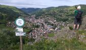 Trail Walking La Bresse - champis - Photo 1