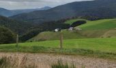 Tour Mountainbike Urbach bei Kaysersberg - Fréland Col des Bagenelles - Photo 2