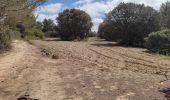 Trail Walking Martigues - Promenade sur la rive de l'étang de Berre  - Photo 5