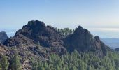 Randonnée Marche Tejeda - Roque Nublo (Gran Canaria) - Photo 6