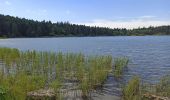 Tocht Stappen Olby - J3 : Olby - lac de Servières - Photo 3