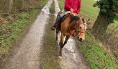 Trail Horseback riding Saint-Martin - Tivio kaline changer au milieu  - Photo 3