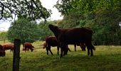 Tocht Stappen Steinbach - Rando Marcheurs du 03/07/2023 par ALAIN - Photo 2