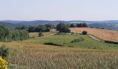 Tour Wandern Marche-en-Famenne - BOUCLE CHAMPLON-FAMENNE-HODISTER-CHAMP  - Photo 2