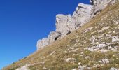 Trail Walking Omblèze - Plateau d'Ambel (le tour) - Photo 6