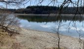 Excursión Bici de montaña Waimes - Waimes Bütgenbach tour des lacs - Photo 2