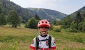 Tour Mountainbike Woll - la bresse lispacht - Photo 2