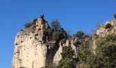 Tour Wandern Saint-Félix-de-l'Héras - Les Fabres - Mas Rouquet - Photo 13