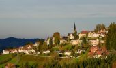 Tour Zu Fuß Rehetobel - Kaien-St. Anton-Weg - Photo 3