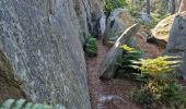 Randonnée Marche Fontainebleau - Fontainebleau sentier Denecourt 3 - Photo 10