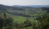 Percorso A piedi Thalheim - Zeiher Homberg - Eichwald - Photo 1