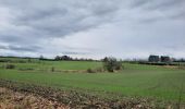 Tour Wandern Neufchâteau - marche adeps Tournay  - Photo 15