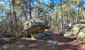 Tocht Stappen Fontainebleau - Sentier Denecourt 3 - Photo 6