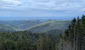 Trail Horseback riding Turquestein-Blancrupt - suuntoapp-HorsebackRiding-2025-08-31T06-50-03Z - Photo 3