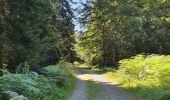 Trail Walking La Chaise-Dieu - Sentier du Serpent d'Or  - Photo 7