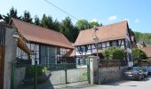 Tour Zu Fuß Hofheim am Taunus - Rundwanderweg Eichhorn - Photo 4