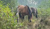 Excursión  Diepenbeek - Diepenbeeck - Photo 12