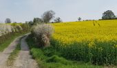 Trail Mountain bike Walcourt - Balade dans l'entité de Walcourt  - Photo 13