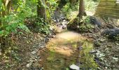 Trail Walking Fosses-la-Ville - Vitrival 030625 - Photo 8