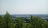 Randonnée Marche Liège - Terril de Vittel - Fond des Tawes - Photo 1