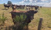 Tocht Stappen Pailherols - Pailherols chapelle du Cantal  - Photo 12