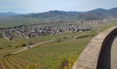 Tour Wandern Mittelweier - Mittelwihr - Nécropole de Sigolsheim - Riquewihr - Hunawihr - Zellenberg - Photo 1