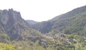 Percorso Marcia Saint-Guilhem-le-Désert - Saint Guilhem L'Ermitage ND de la Grâce - Photo 7